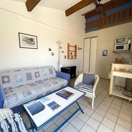 Apartment A Banyuls-sur-mer, Terrasse, Parking, Clim, Vue - Fr-1-309-45 *