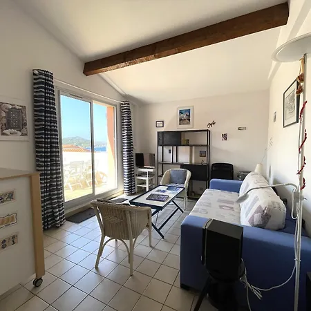 A Banyuls-sur-mer, Terrasse, Parking, Clim, Vue - Fr-1-309-45 *
