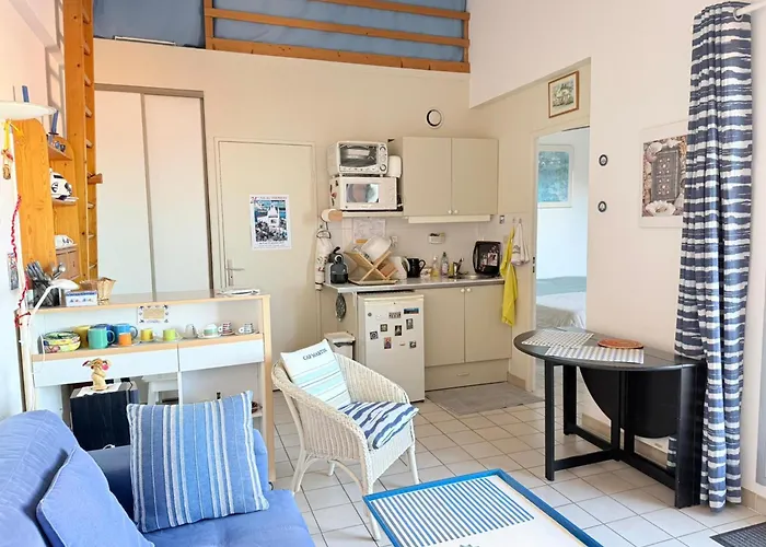 A Banyuls-sur-mer, Terrasse, Parking, Clim, Vue - Fr-1-309-45 דירה
