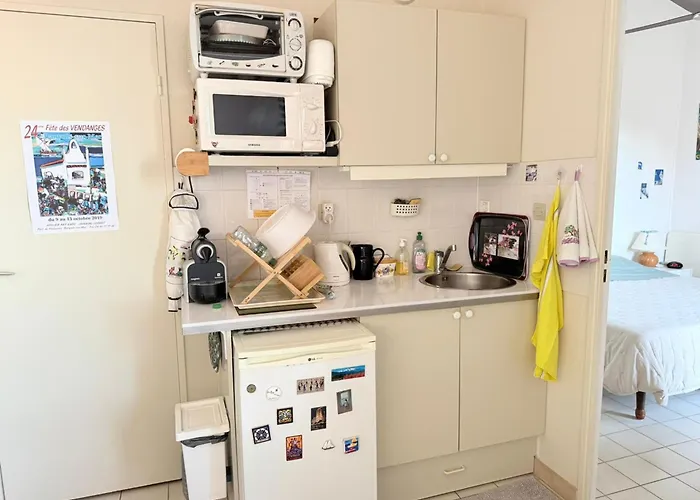 דירה A Banyuls-sur-mer, Terrasse, Parking, Clim, Vue - Fr-1-309-45
