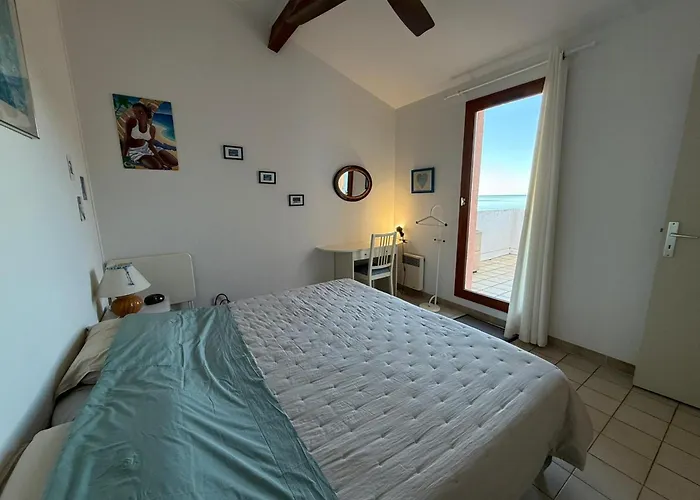 A Banyuls-sur-mer, Terrasse, Parking, Clim, Vue - Fr-1-309-45 דירה בניולס-סור-מר